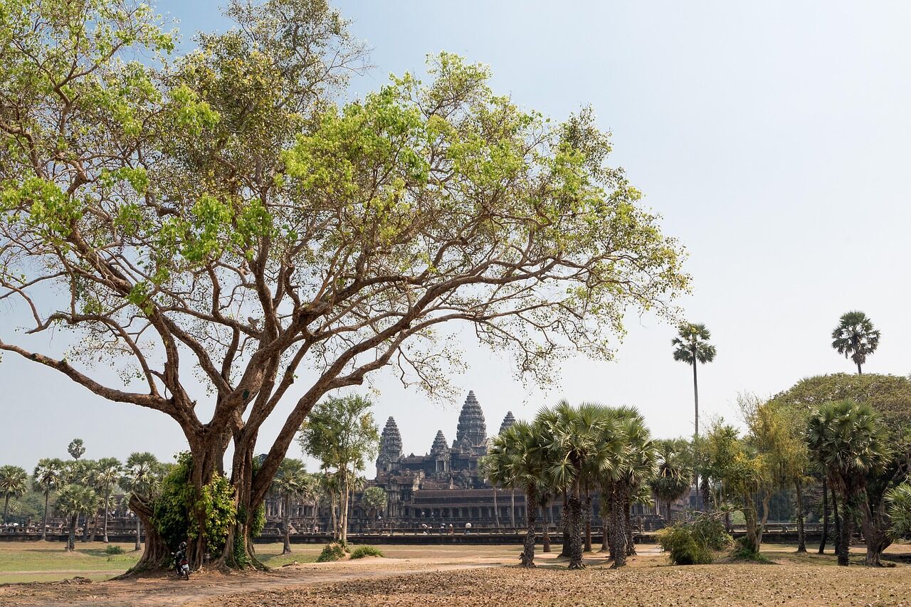 Discover hidden gems